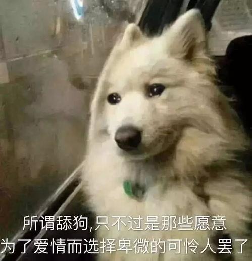 关注舔狗吃大瓜,大瓜背后的逆袭传奇
