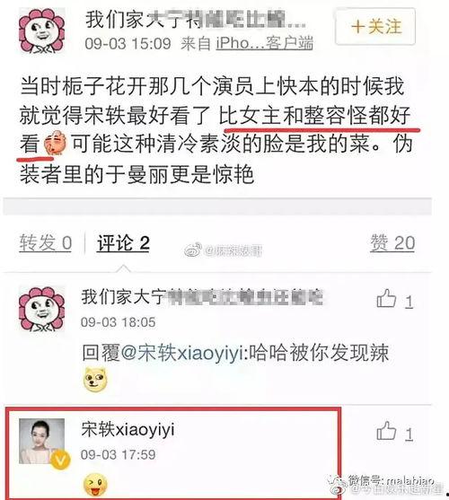 有关宋轶的爆料视频,娱乐圈背后的真实故事