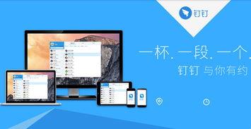 头条钉钉替代产品