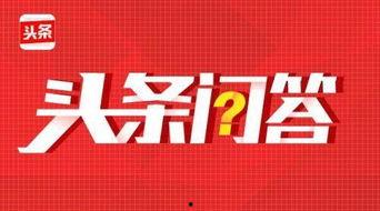 头条问答达人去哪找工作,揭秘高效求职之路