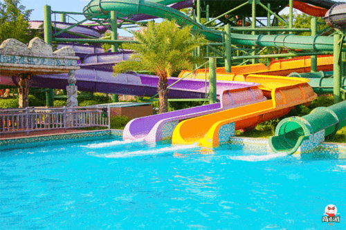 冲浪吃瓜ing,畅游网络娱乐海洋